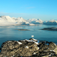 Imagen: Paisaje de Groenlandia meridional. Wikimedia Commons